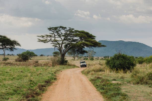 9 Day Northern Tanzania Safari