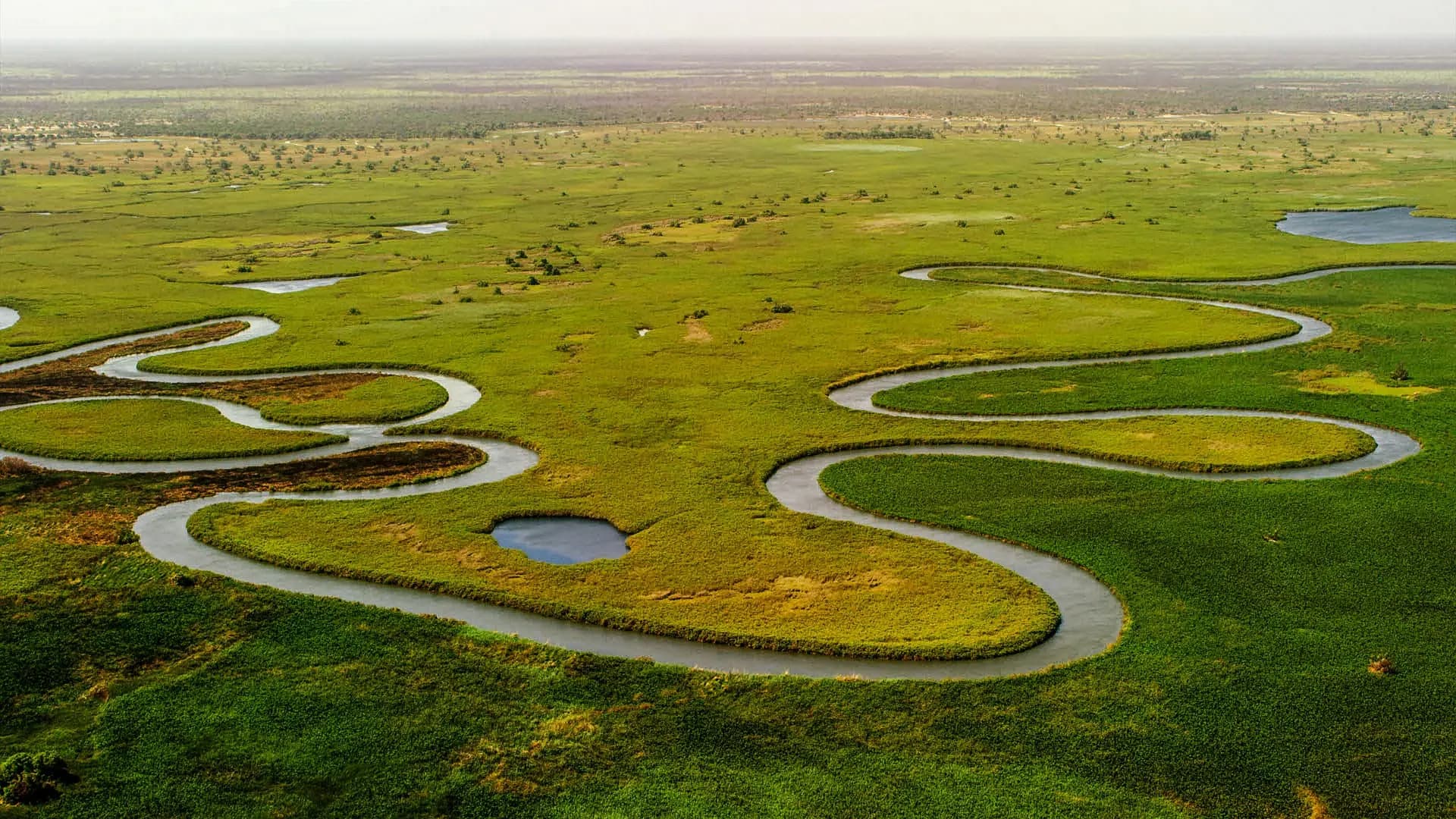 7 Day Safari in Botswana