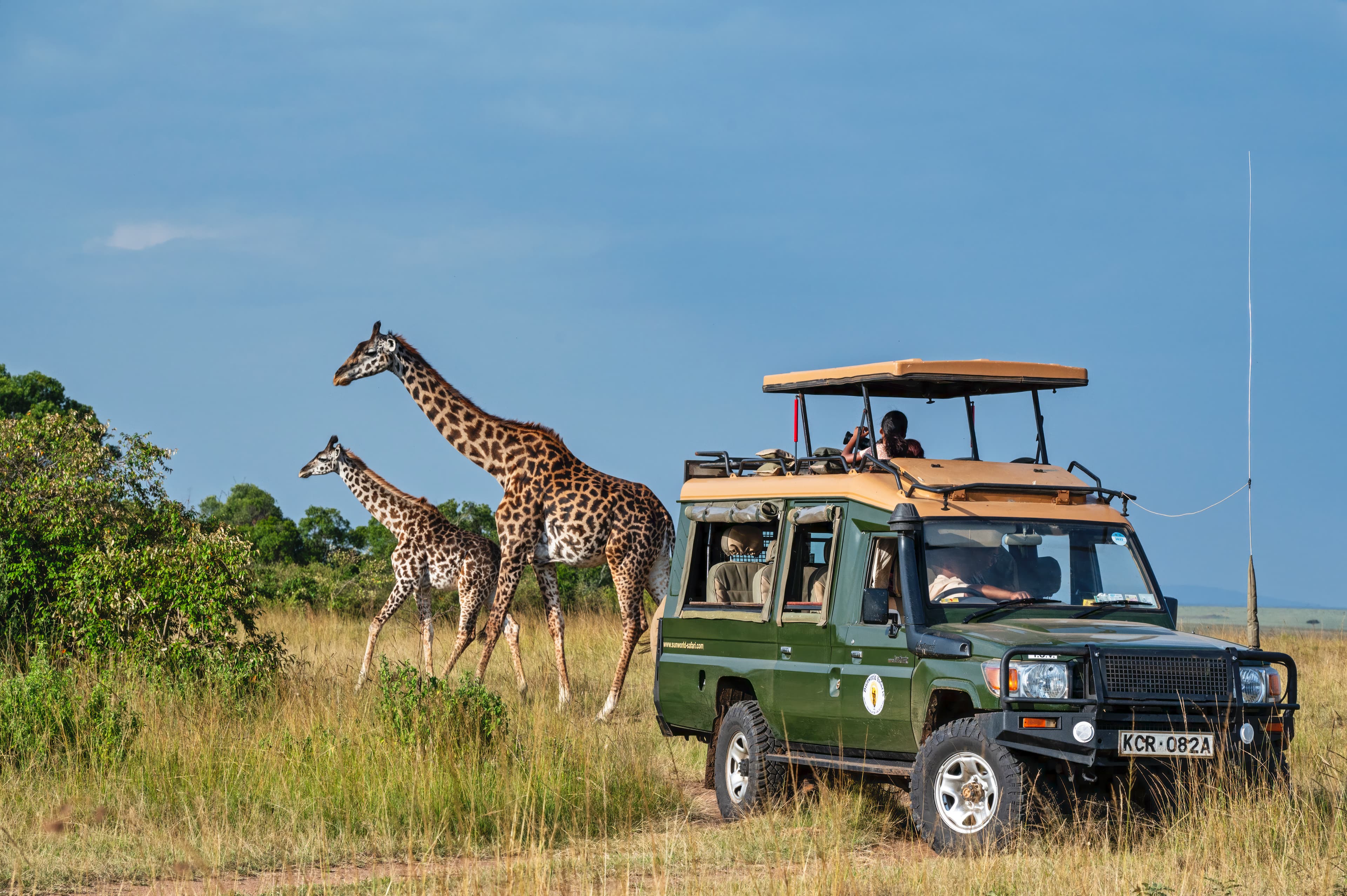  Luxury Migration Camp - Maasai Mara