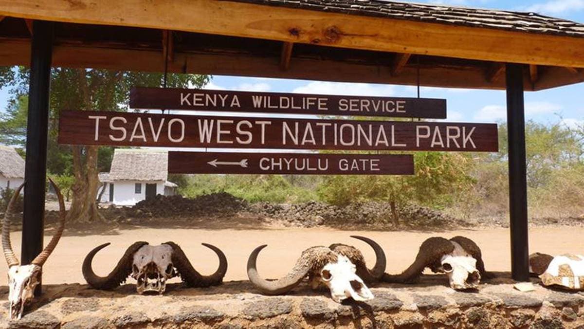 Tsavo National Park Entry Fees
