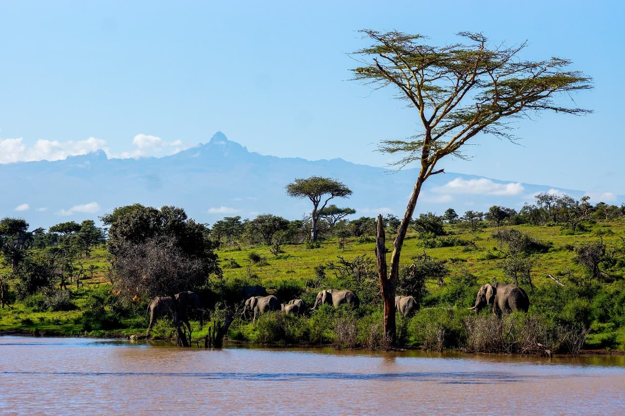 Top Activities To Do In Nanyuki