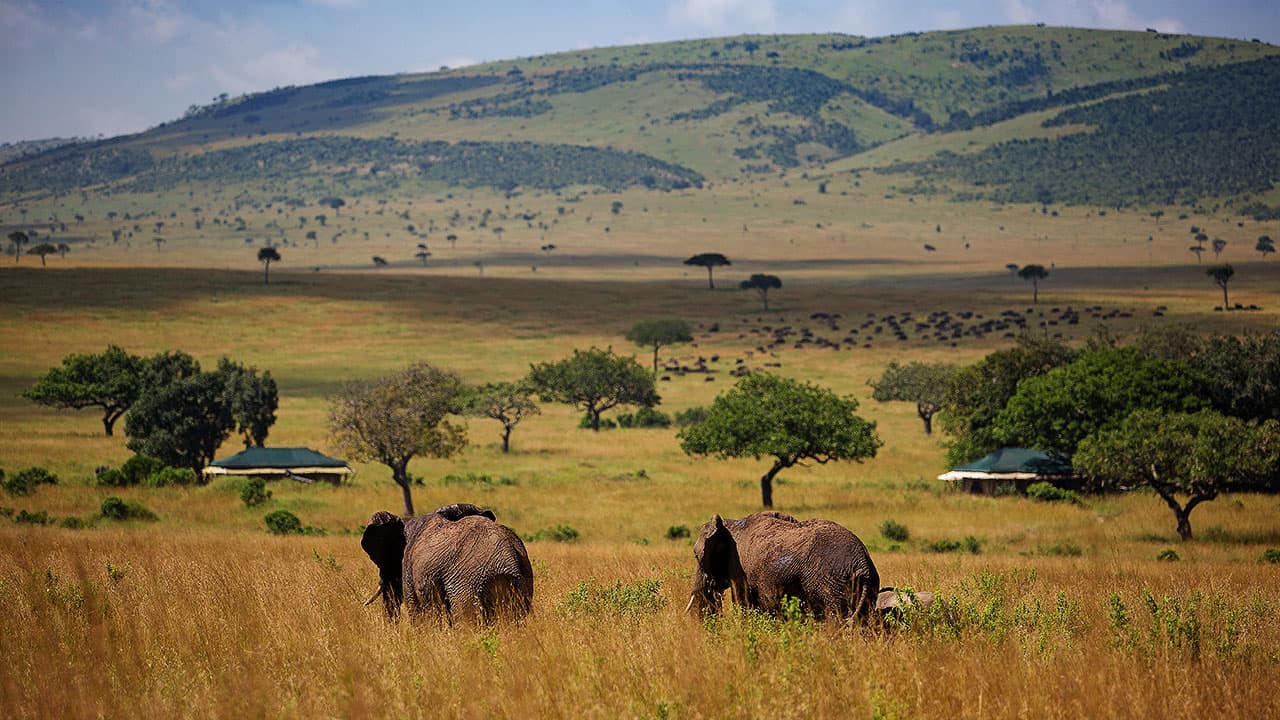 9 Day Kenyan Adventure