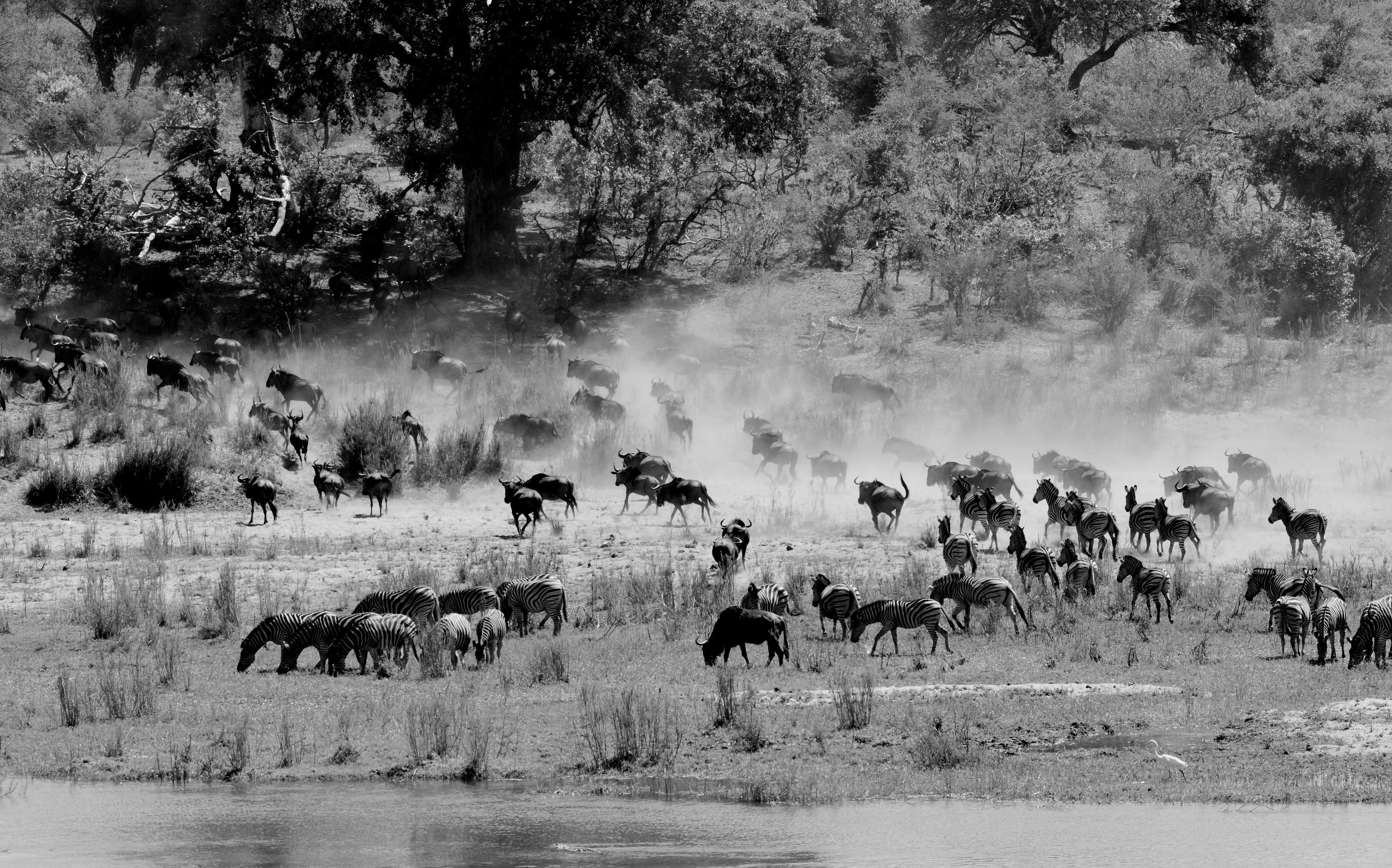 Masai Mara National Reserve Entry Fees